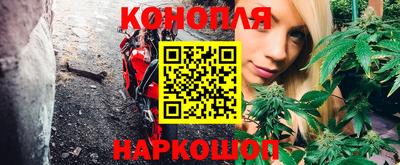 эйфоретик Абинск