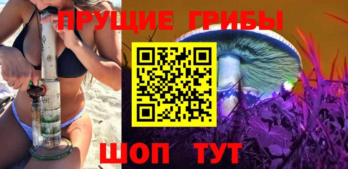 Псилоцибиновые грибы мицелий  Вход с VPN  Азнакаево  Псилоцибиновые грибы ЛСД 