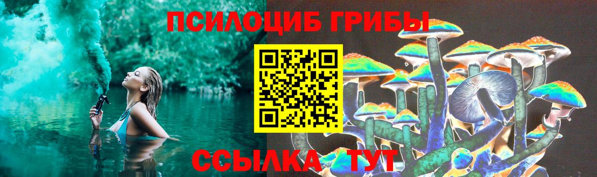Галлюциногенные грибы Psilocybine cubensis Азнакаево